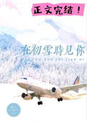 《在初雪时见你》封面