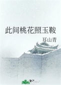 《此间桃花照玉鞍》封面