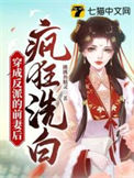 《穿成反派的前妻后疯狂洗白》封面