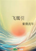 《飞凰引》封面