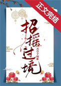 《招摇过境》封面