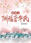 《清穿之侧福晋年氏》封面