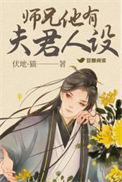 《师兄他有夫君人设》封面