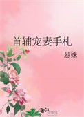 《首辅宠妻手札》封面