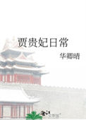 《贾贵妃日常》封面