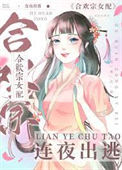 掳错男主后我连夜出逃封面