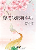 《嫁给残废将军后》封面