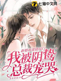 《新婚夜进错房门，我被阴鸷总裁宠哭》封面