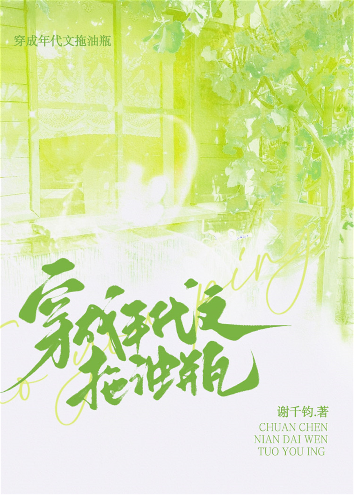 《穿成年代文拖油瓶》封面