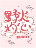 《野火灼心》封面