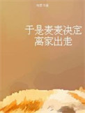 《于是麦麦决定离家出走》封面