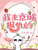 我来京城报仇的封面