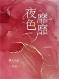 夜色靡靡封面