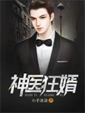 《神医狂婿》封面