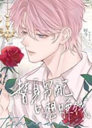 《替身男配只想赚钱》封面