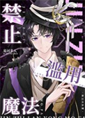 《禁止滥用魔法》封面