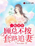 《一胎双喜：顾总不按套路追妻》封面