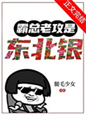 《霸总老攻是东北银》封面