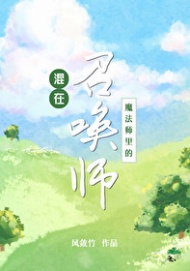 《混在魔法师里的召唤师》封面