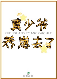 真少爷养崽去了封面