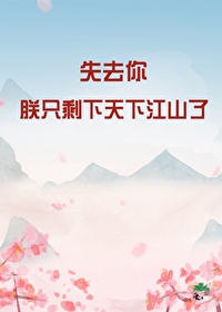 失去你，朕只剩天下江山了封面