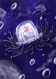 《小水母的海底历险记》封面