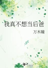 《我真不想当后爸》封面