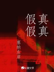 《真真假假》封面