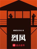 《烈风》封面