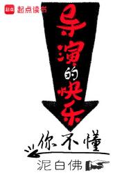 《导演的快乐你不懂》封面