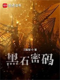 《黑石密码》封面