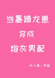 《当暴躁龙崽穿成炮灰男配》封面