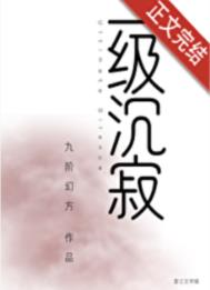 《一级沉寂》封面