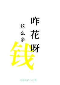 《前任非让我尝尝花钱的苦》封面