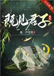 既见君子（重生）封面