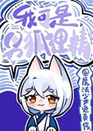 《我可是男狐狸精》封面