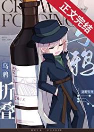 《（名柯同人）乌鸦折叠》封面