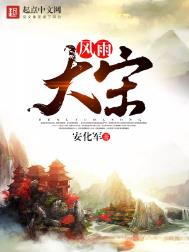 《风雨大宋》封面