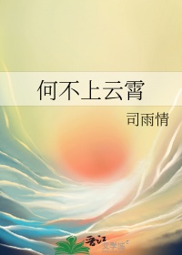 《何不上云霄》封面