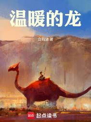 《温暖的龙》封面