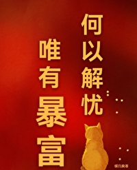 《何以解忧，唯有暴富》封面