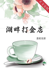 《湖畔打金店[古穿今]》封面