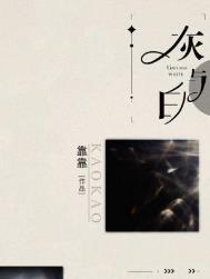 《灰与白》封面