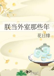 《朕当外室那些年》封面