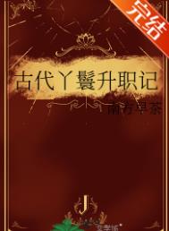 《古代丫鬟升职记》封面