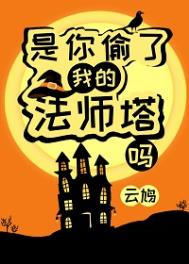 《是你偷了我的法师塔吗？》封面