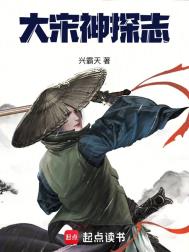 《大宋神探志》封面