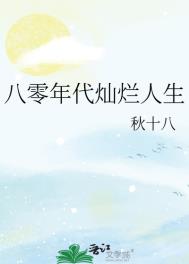 八零年代灿烂人生封面