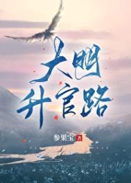 《大明升官路》封面