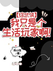 《[综武侠]我只是个生活玩家啊！》封面